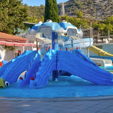 Resort Blue Fish